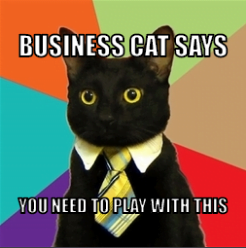 Business cat meme